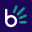 bobgo.co.za icon