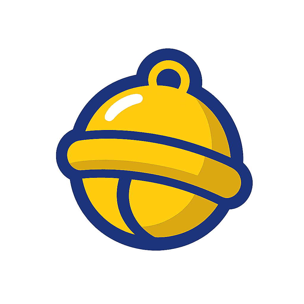 bobvision.net icon