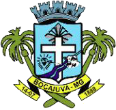 bocaiuva.mg.gov.br icon