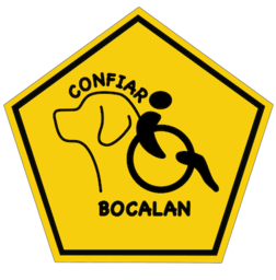 bocalanconfiar.cl icon