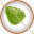 bodhilinux.com icon