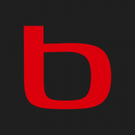 bodog-casino-online.com icon