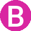boekhandelpolman.nl icon