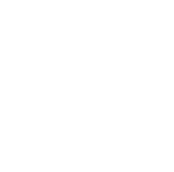 boesebubenclub.de icon