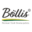 boesing-boellis.de icon