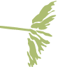 boiseartsandhistory.org icon