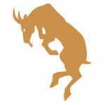 bokkesprong.nl icon