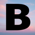 boldframe.nl icon