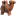 bolet.org icon