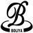 boliyascarf.com icon
