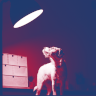 bolne.de icon