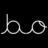 bolsa-valores-bolivia.com icon