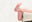 bonnbonnbaby.com icon