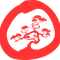 bonsaimediagroup.com icon