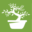 bonsaiprodigy.com icon