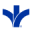 bonsecours.ie icon