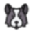 border-collie.de icon
