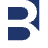 borgermanagement.com icon