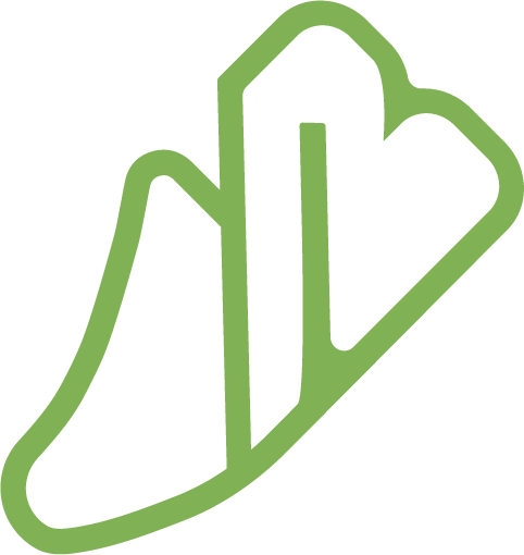 borgoshoes.com logo
