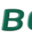 borini.com logo