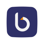 borisreturns.com logo