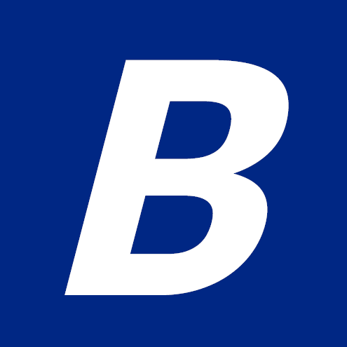 borqs.com icon