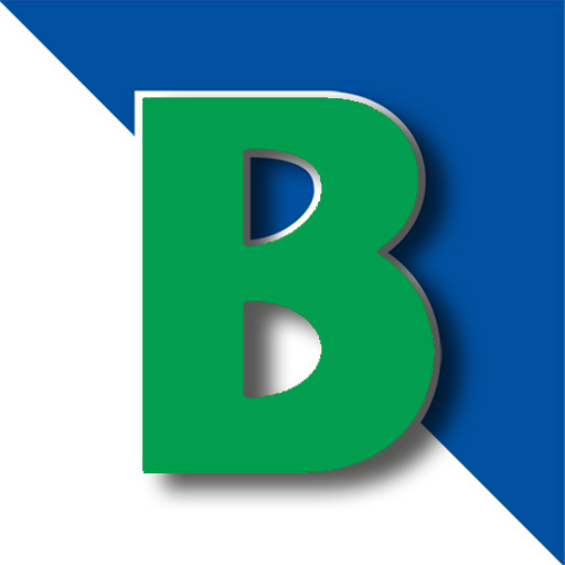 borrmann.de icon