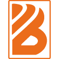 borstelshop.nl icon