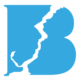 bosphoregroup.com icon