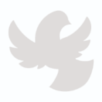 bostoncatholicappeal.org icon