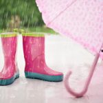 bottes.fr icon