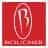 bouchercollision.com icon