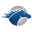 boulderbailbonds.com icon