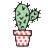 bozogullarindan.com icon