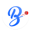 bpexchpro.com icon