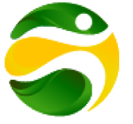 br4bets.com.br logo