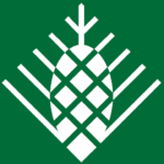 braciadebscy.pl icon