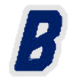 bracketteam.com icon
