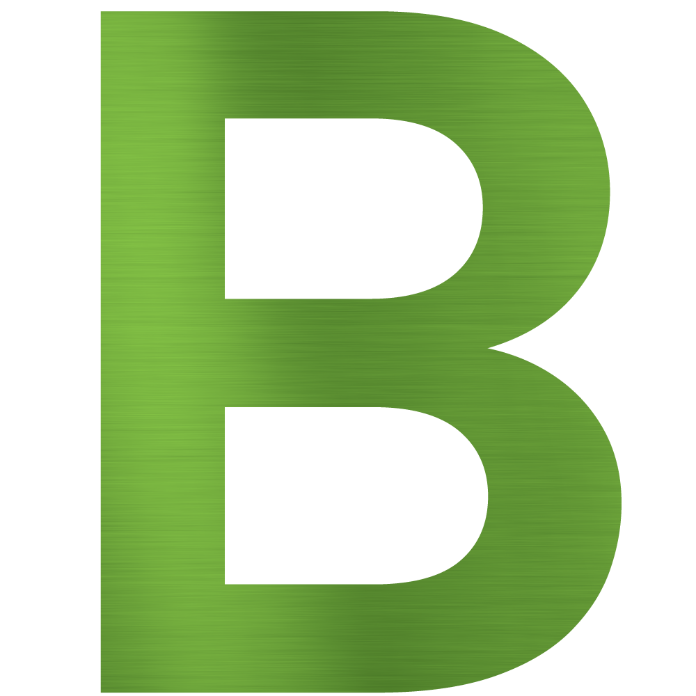 bradystreet.org icon