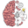 brain-test.ru logo