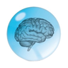 brainclinics.com icon