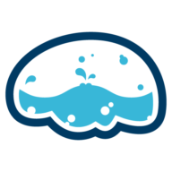 brainium.com icon