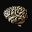 brainrules.net logo