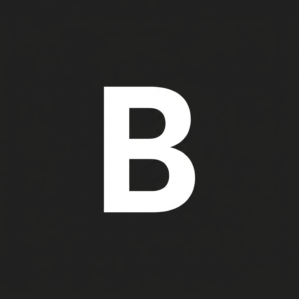 bralder.com icon