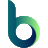 brandingcompanyllc.com icon