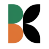 brandkidsvietnam.com icon