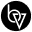 brandvm.com logo