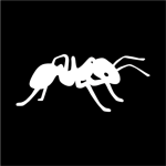 brandwachtenmeijer.nl icon