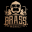 brassmonkeybilliards.com icon