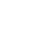 brauermkt.com icon